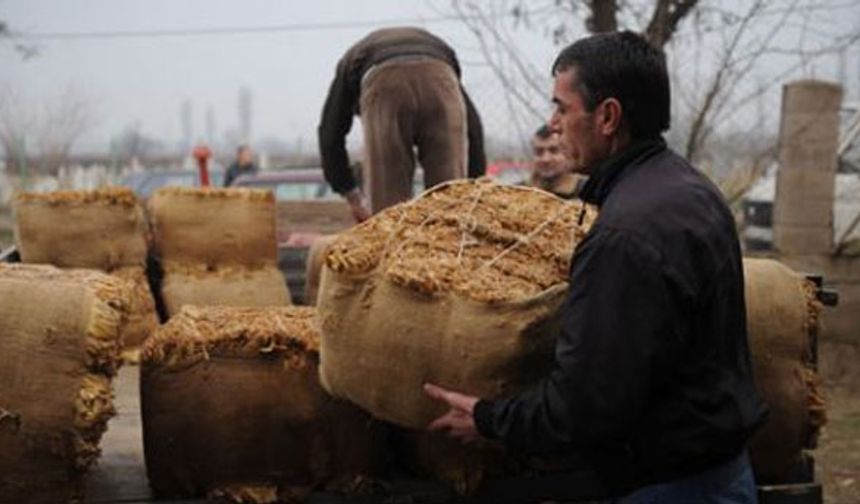 Bakanlık harekete geçti