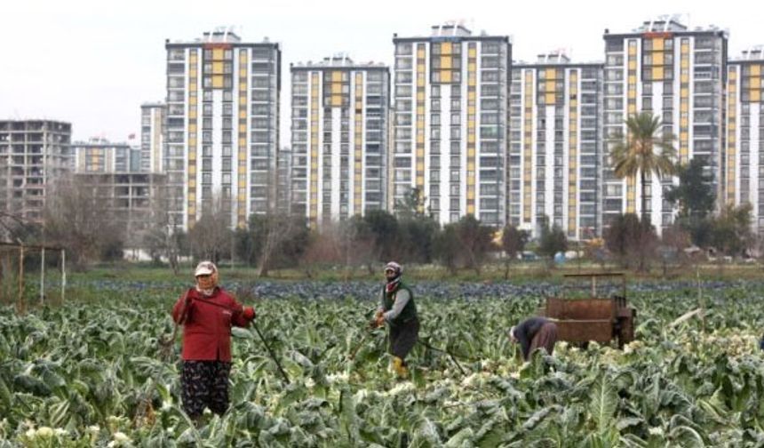 "Tarım alanları betonlaşıyor"
