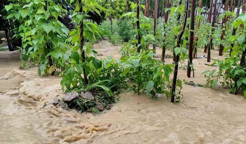 Karabük'te tarım arazileri sular altında kaldı