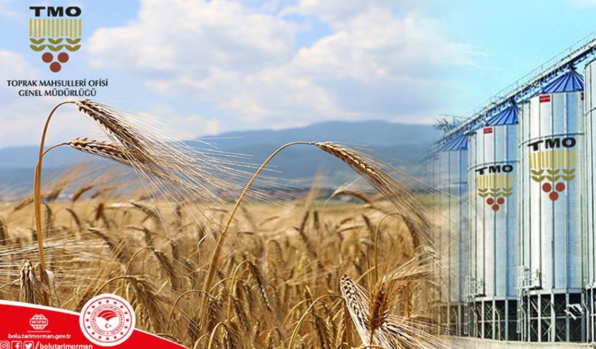 Tarım İl Müdürlüğü açıkladı TMO ile görüşmeler olumlu sonuçlandı çiftçiden buğday arpa alımı yapılacak