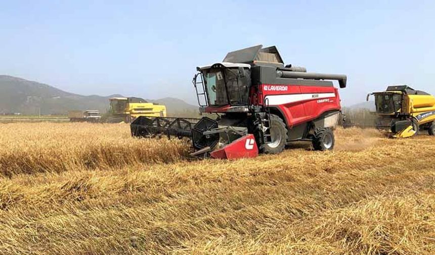 Hububat fiyatları haftaya nasıl başladı? 18 Kasım buğday, arpa ve mısır fiyatları!