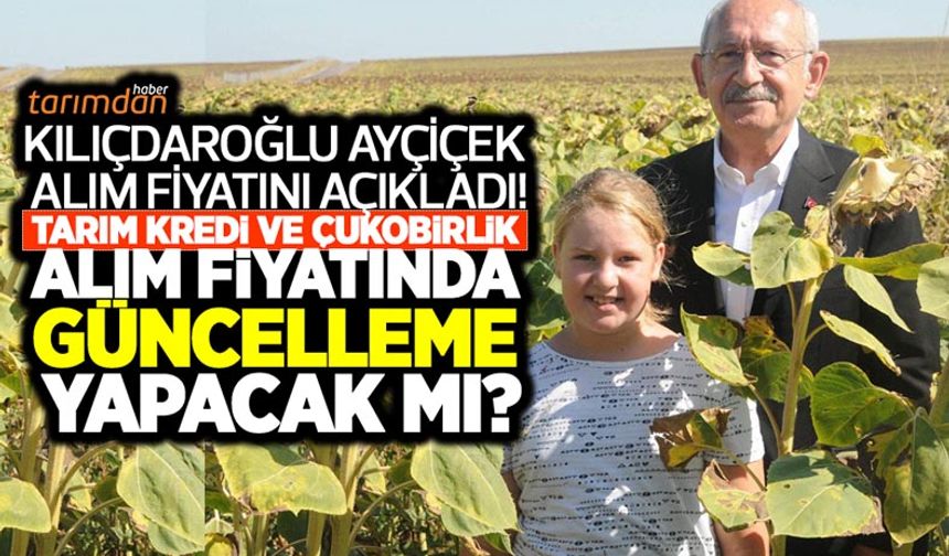 Kılıçdaroğlu ayçiçeği alım fiyatını açıkladı! Gözler Tarım Kredi ve Çukobirlik'e çevrildi! Alım fiyatı artırılacak mı?