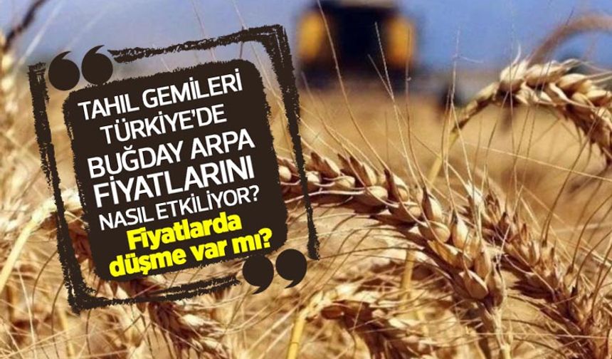 Son bir haftada buğday fiyatları kaç lira oldu? Tahıl gemileri Türkiye’de buğday arpa fiyatlarını nasıl etkiliyor?