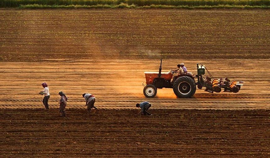 Vergi ve SGK borcu olan çiftçilere destekli tarım kredisi yolu açıldı