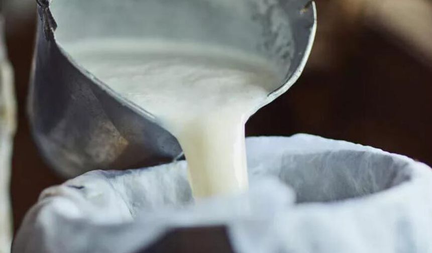 Ulusal Süt Konseyi yarın toplanıyor: Çiğ süt fiyatı ne olacak?