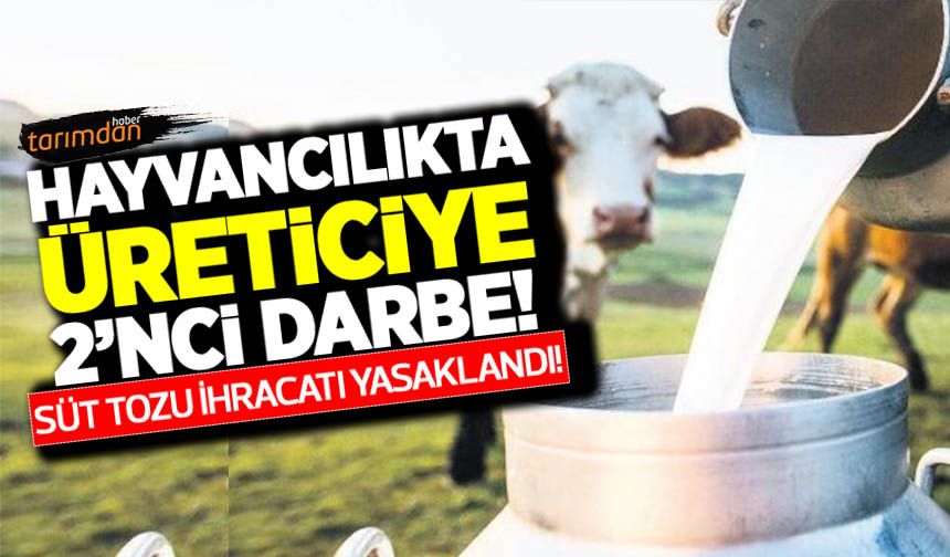 Hayvancılıkta üreticiye 2’nci darbe! Süt tozu ihracatına sınırlama getirildi!