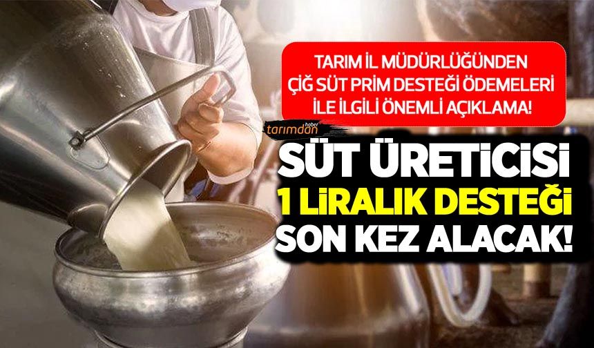 Çiğ süt destekleri ödeniyor! Tarım İl Müdürlüğünden önemli açıklama! Süt üreticisi 1 liralık desteği son kez alacak!