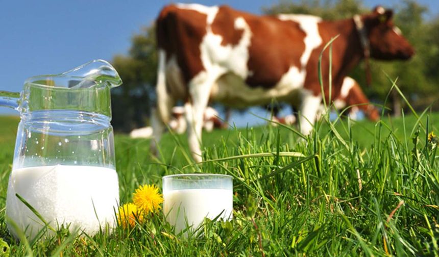 Ulusal Süt Konseyi, çiğ süt fiyatını 14,65 liraya çıkardı!