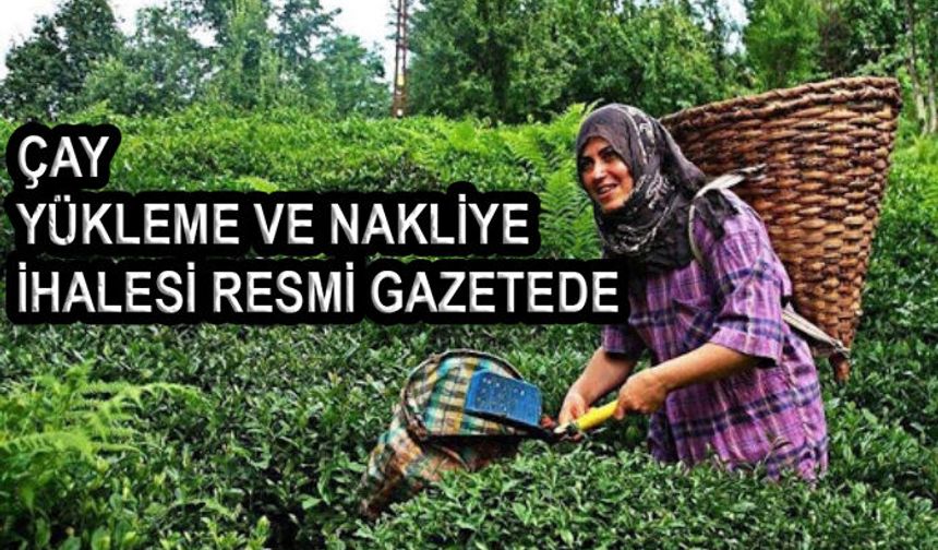 Resmi Gazete'de çay yükleme ve nakliye ihale ilanı yayınlandı!