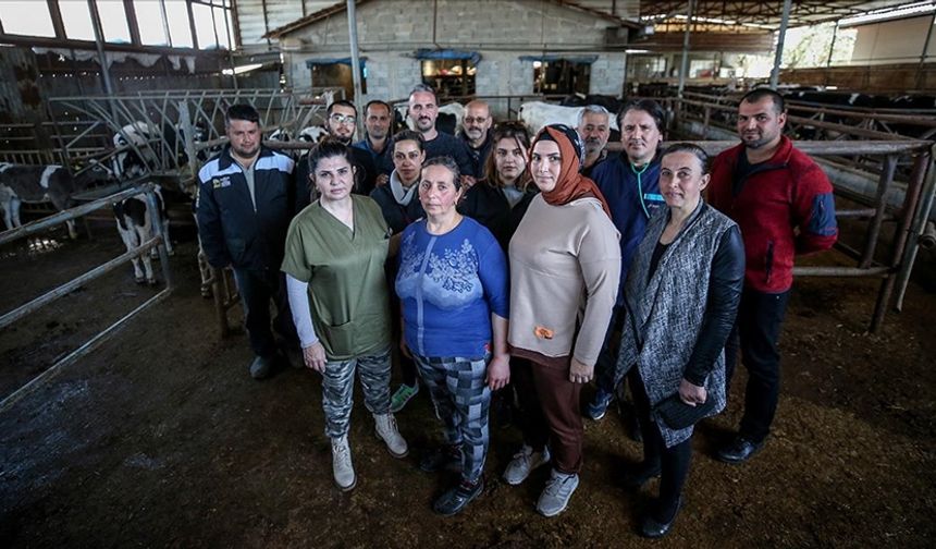 Gönüllü veterinerlerden Hataylı hayvan yetiştiricilerine destek!