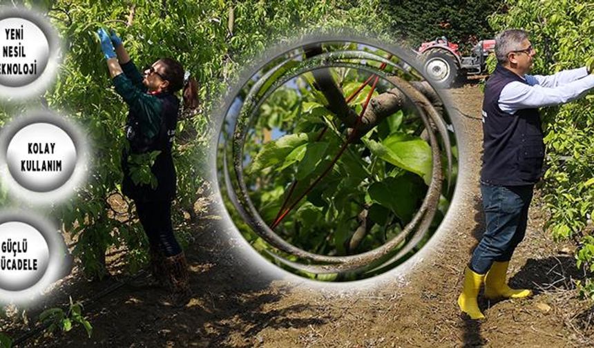 Elma kurduna karşı biyoteknik mücadele