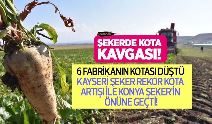 Şeker kotaları belli oldu! 6 fabrikanın kotası düştü Kayseri Şeker rekor kota artışıyla 2'nci sıraya yükseldi!
