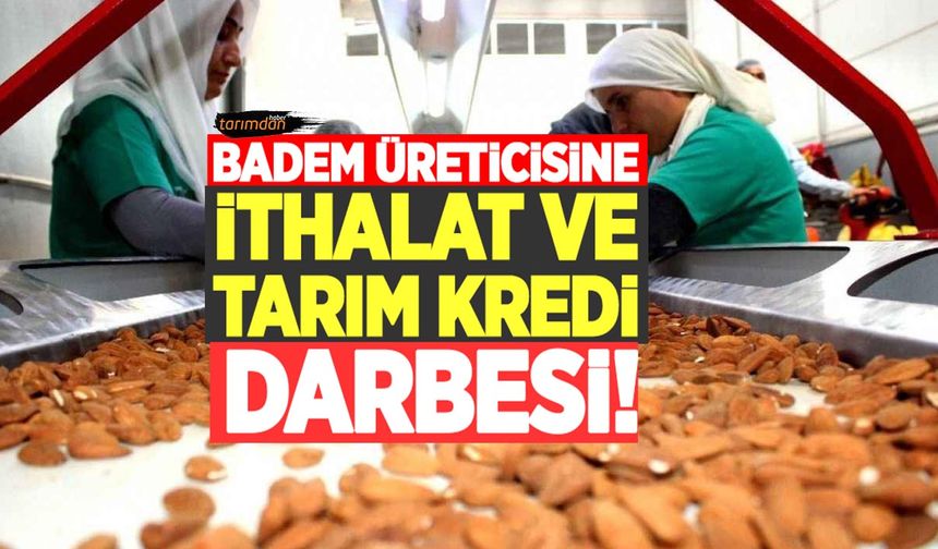 Badem üreticisine ithalat ve Tarım Kredi darbesi! 