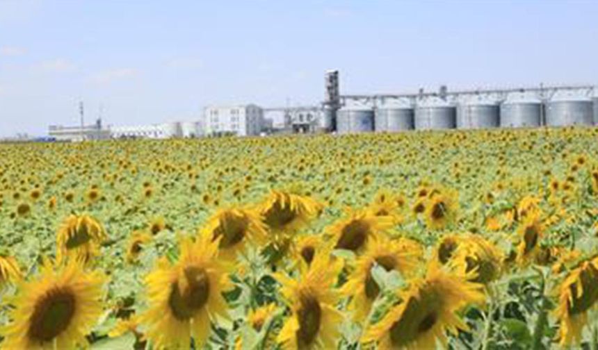 Kırşehir Akpınar havzasında desteklenen ürünler