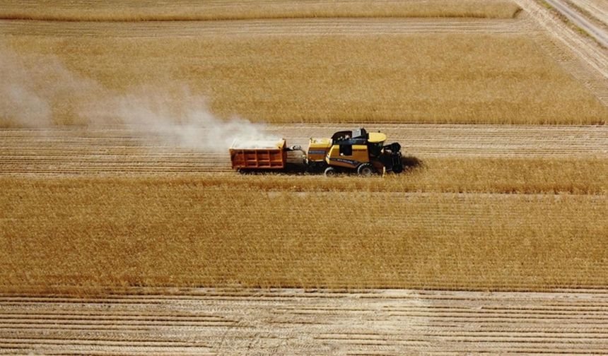 Hububat piyasasında temmuz sonu dengesi: Fiyatlar kısmen düştü