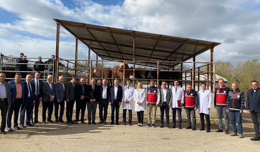 ESK'dan Kastamonulu besicilere önemli hizmet! Ankara'ya getirmeden kestirebilecekler!