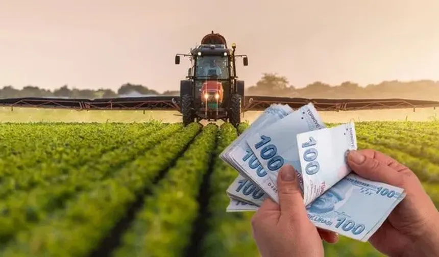 Hibe projelerine son başvuru tarihi... Sadece Samsun'da 135 milyonluk hibe destek ödemesi...