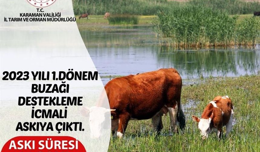 Karaman Buzağı Destekleme icmalleri askıya çıktı...İsminiz var mı bir göz atın...