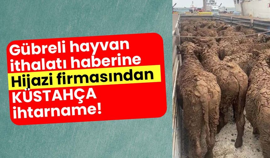 Gübreli hayvan ithalatı haberine Hijazi firmasından küstahça ihtarname!