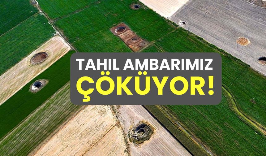 Gıda çölleri, küresel su krizi ve tahıl ambarımız çöküyor!