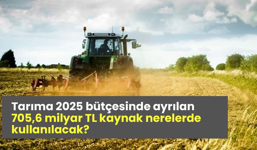 Tarıma 2025 bütçesinde ayrılan 705,6 milyar TL kaynak nerelerde kullanılacak?