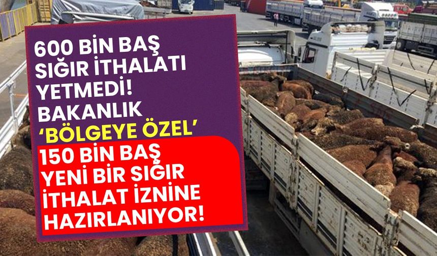 Tarım Bakanlığı'ndan Trakya Bölgesine özel 150 bin baş sığır ithalat izni!