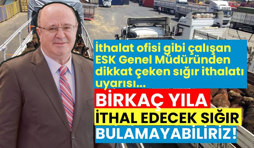 Paramız olsa da sığır ithal edemeyeceğiz! ESK Genel Müdüründen dikkat çeken ithal sığır uyarısı!