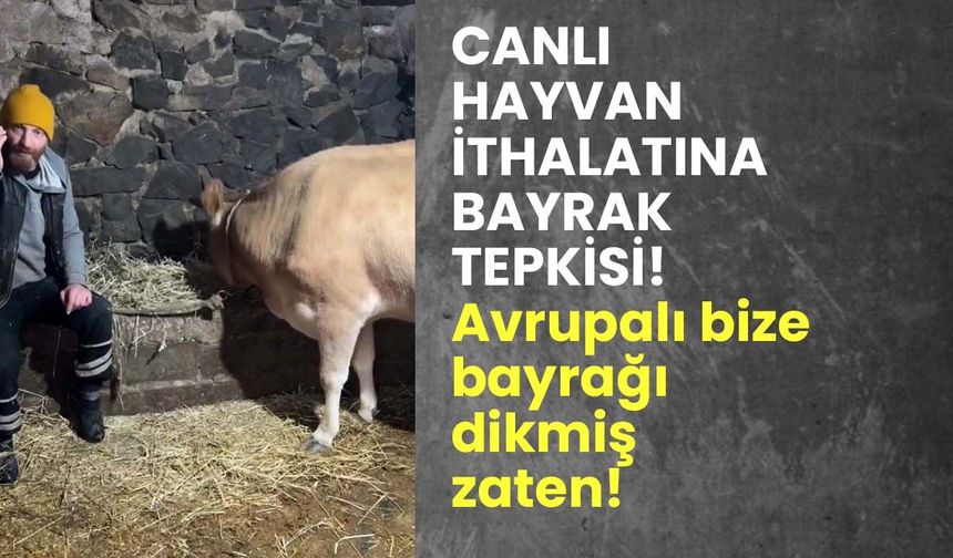 Canlı hayvan ithalatına bayrak tepkisi: Avrupalı bize bayrağı dikmiş zaten!