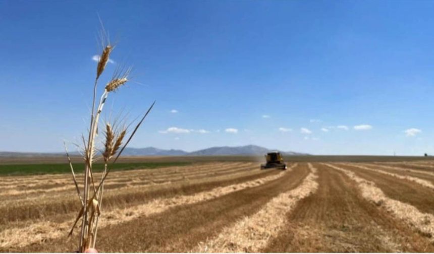 Mazot, gübre, süt, buzağı... Tarımsal destekleme askı icmalleri ile ilgili güncel haberler!