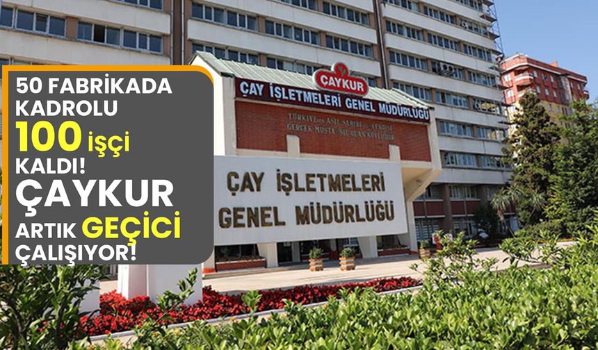 50 fabrikada kadrolu 100 işçi kaldı ÇAYKUR artık mevsimlik çalışıyor!