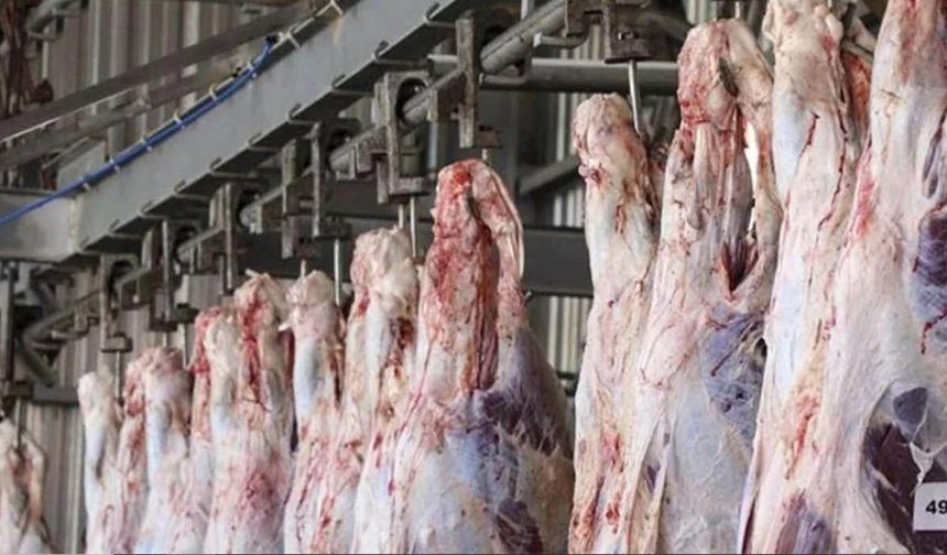 Et kesim fiyatları 19 Eylül 2025