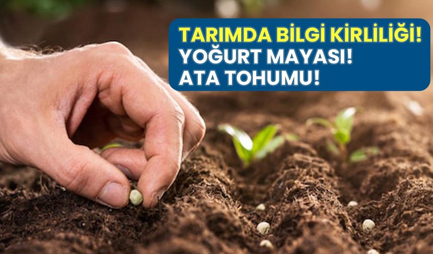 Tarımda bilgi kirliliği! Yoğurt mayası! Ata tohumu!