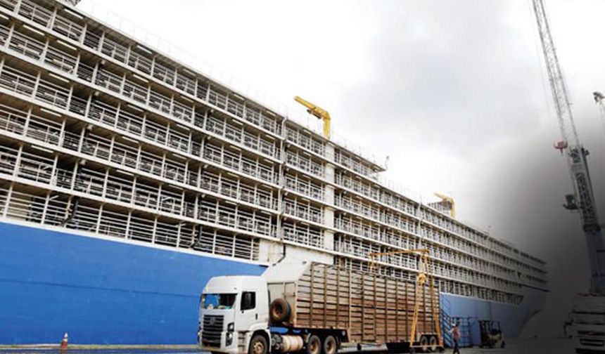 Besilik sığır ithalatında 2025’in ilk gemisi Taşucu Limanı’nda