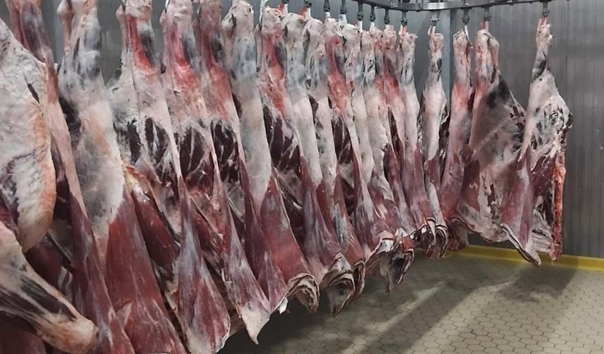 Et fiyatları yatay seyrediyor: Kuzu geriledi, dana yerini korudu
