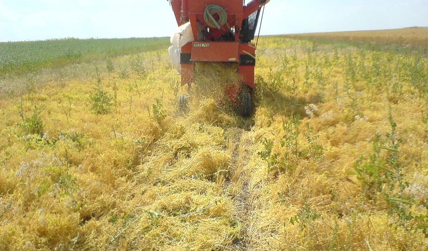 Tarım İl Müdürlüğünden ÇKS kayıtlarında ziraat odası uyarısı dikkat çekti