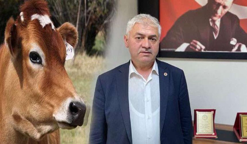 Ordu Damızlık Sığır Yetiştiricileri Birliği