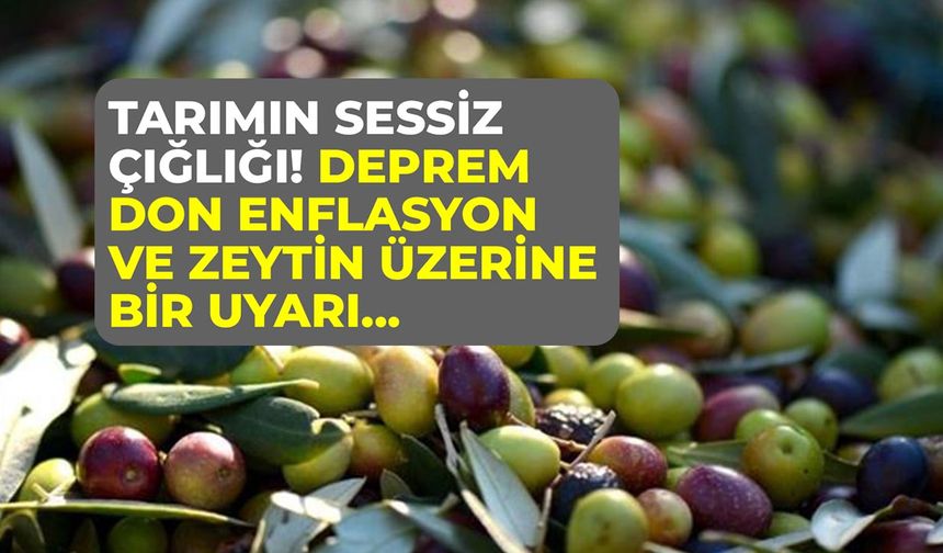 Tarımın sessiz çığlığı: Deprem, don, enflasyon ve zeytin üzerine bir uyarı