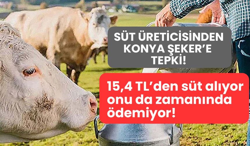 Süt üreticisinden Konya Şeker'e tepki! 15,4 TL'den süt alıyor onu da zamanında ödemiyor!