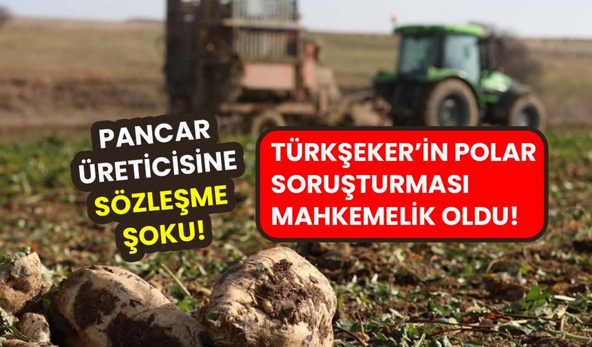 Pancar üreticisine sözleşme şoku: Türkşeker'in polar soruşturması mahkemelik oldu