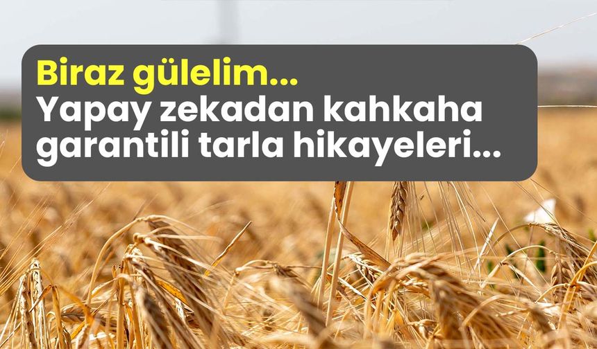 Robot hasat makinesi sahneyi kaptı: Kahkaha garantili tarla hikayeleri