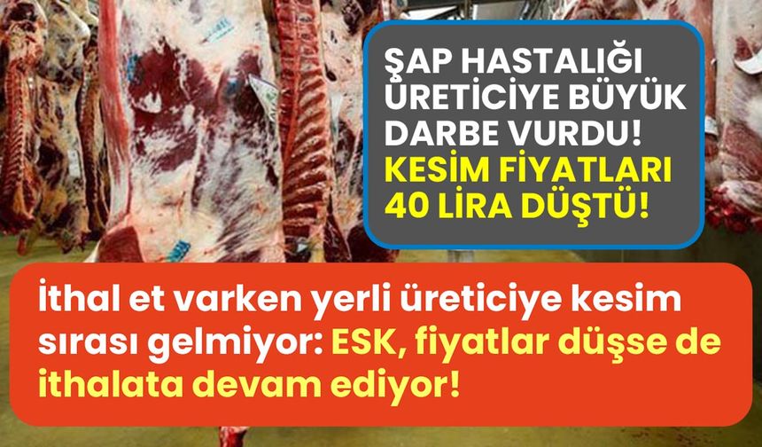 Şap hastalığı sonrası karkas et fiyatları düştü, ESK ithalata devam ediyor!