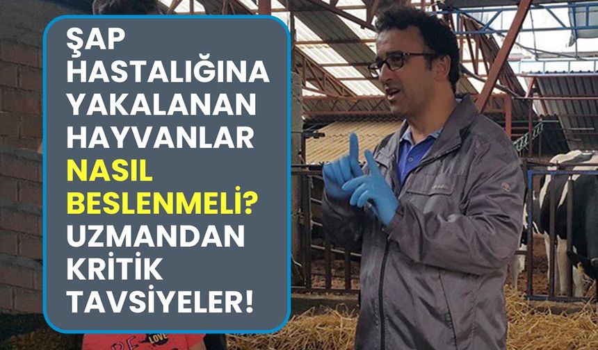 Prof. Dr. Nurettin Gülşen’den şap salgını uyarısı: Aşı tek çare, direnç artırılmalı