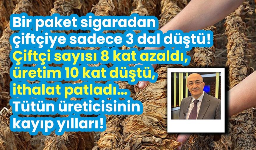 Yaprak tütün dosyası-1