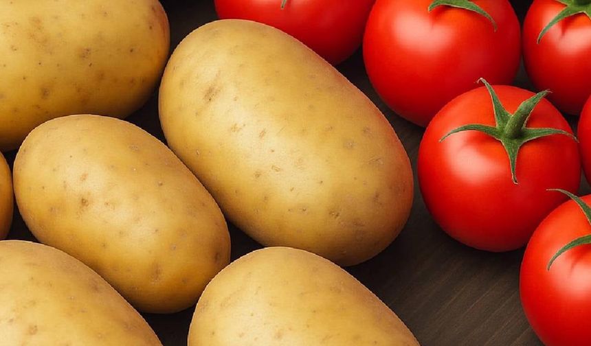Bilim insanları patatesin domatesle yakın akraba olduğunu keşfetti