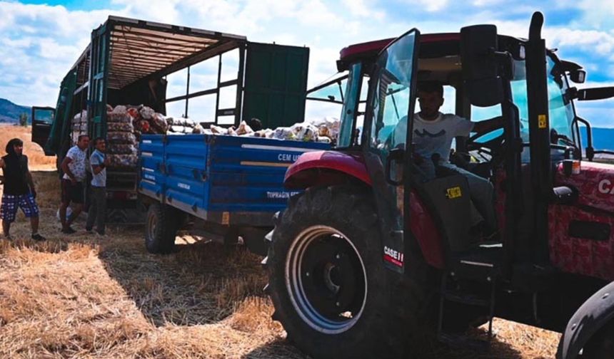 Yozgat’ta patates üreticisi isyan ediyor: Tonlarca ürün çöpe gidiyor