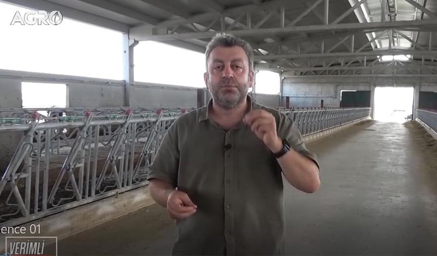 Süt üreticisinden şap hastalığı isyanı: “Hayvancılık cayır cayır yanıyor, bizi bunlardan kurtarın”