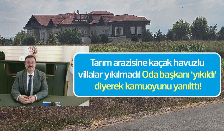Tarım arazisine kaçak havuzlu villalar yıkılmadı: Oda başkanı “yıkıldı” diyerek kamuoyunu yanılttı