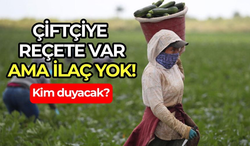 Çiftçiye reçete var ama ilaç yok: Kim duyacak?