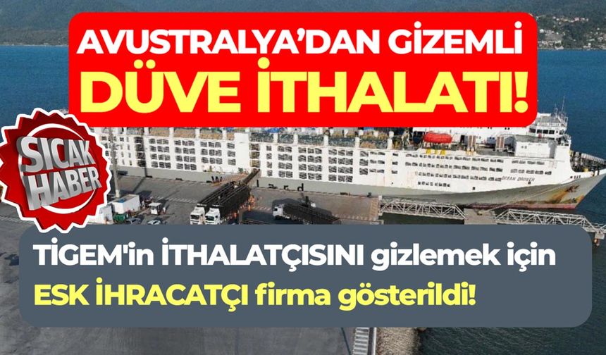 Avustralya'dan gizemli düve ithalatı: TİGEM'in ithalatçısını gizlemek için ESK ihracatçı firma gösterildi!