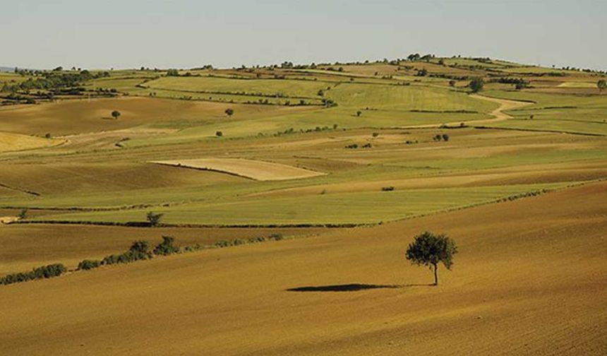 Afyonkarahisar’da işlenmeyen 1287 dönüm tarım arazisi tespit edildi
